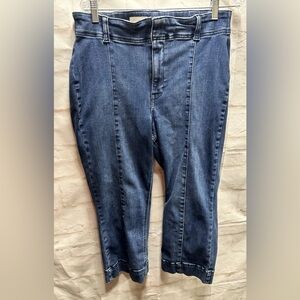 Pilcro Dark Blue Straight cropped Jeans size 34